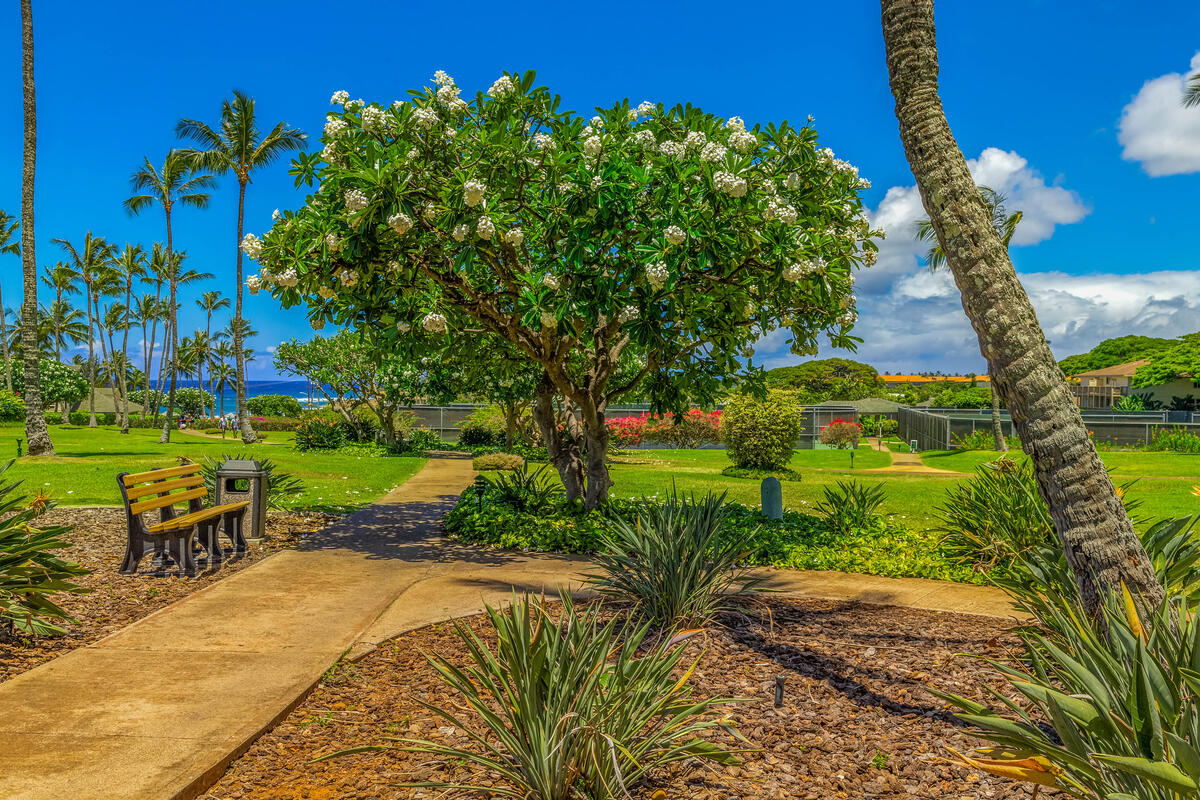 1831 Poipu Road, Unit 510 Koloa, HI 96756 - Photo 21 of 26