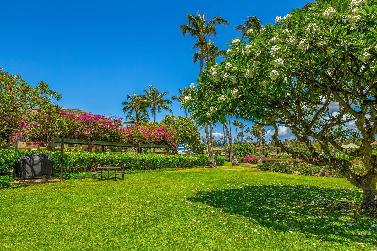 1831 Poipu Road, Unit 510 Koloa, HI 96756 - Photo 24 of 26