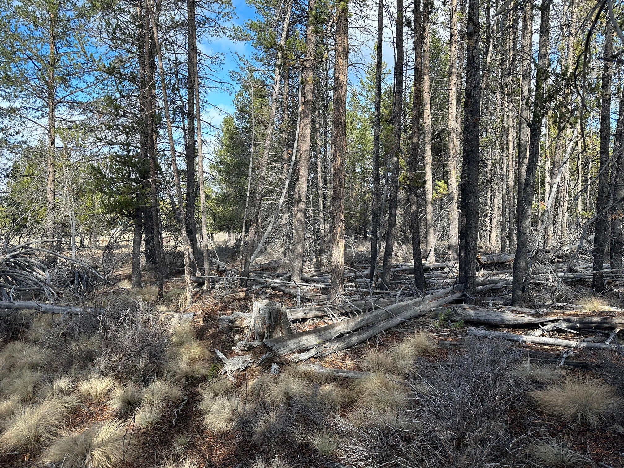 Split Rail Road, Unit 6100 La Pine, OR 97739 - Photo 15 of 28 IMG_0419