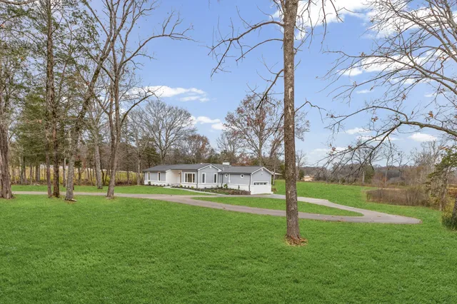 a view of a park with large trees