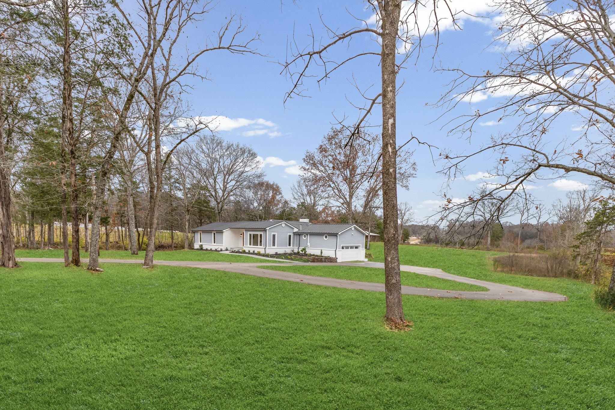 a view of a park with large trees