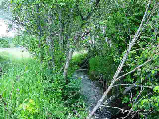 38300 North Valley Road Elk, WA 99009 - Photo 1 of 9
