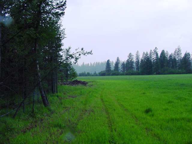 38300 North Valley Road Elk, WA 99009 - Photo 2 of 9