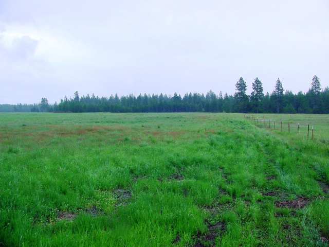 38300 North Valley Road Elk, WA 99009 - Photo 3 of 9