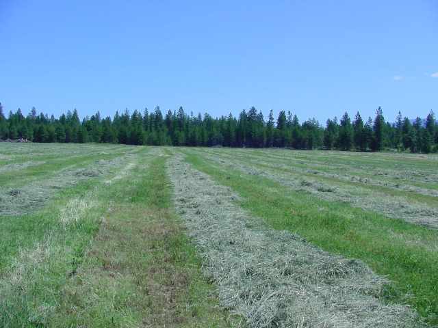 38300 North Valley Road Elk, WA 99009 - Photo 7 of 9