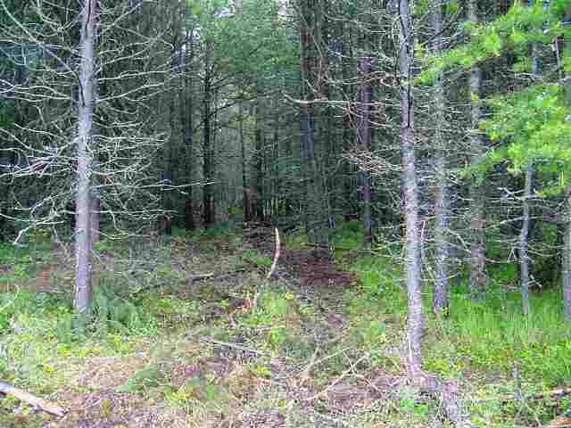 38300 North Valley Road Elk, WA 99009 - Photo 9 of 9
