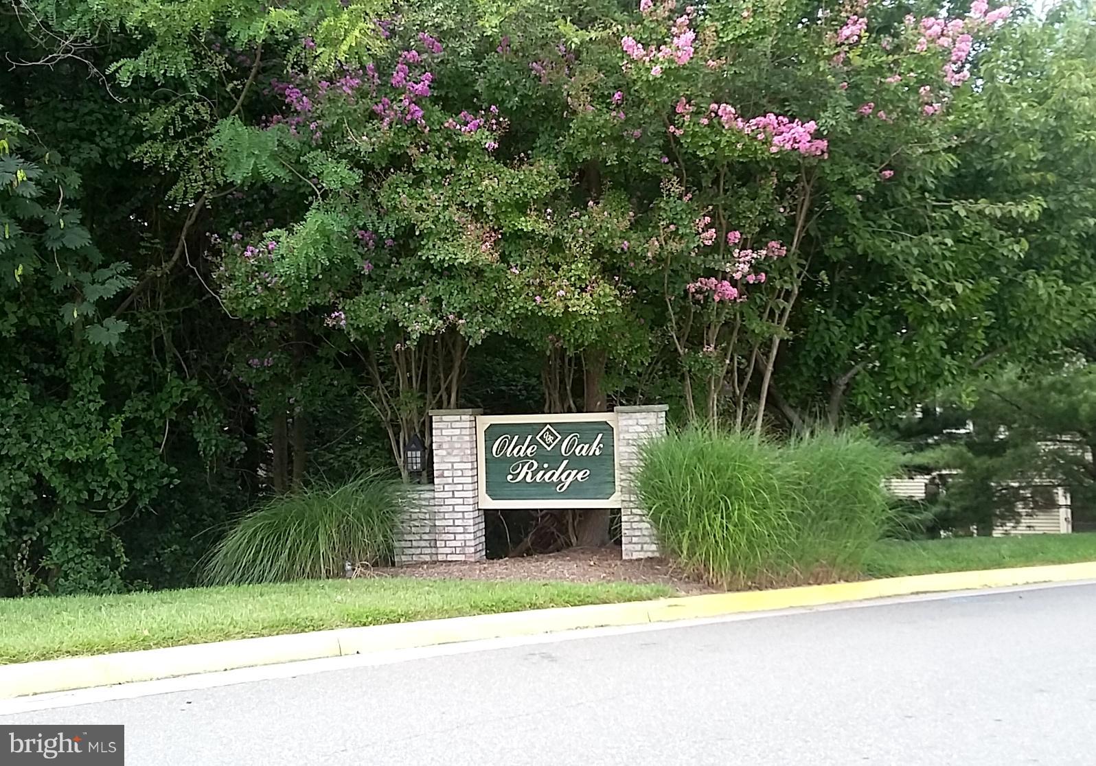 7266 Olde Lantern Way Springfield, VA 22152 - Photo 30 of 30 Community