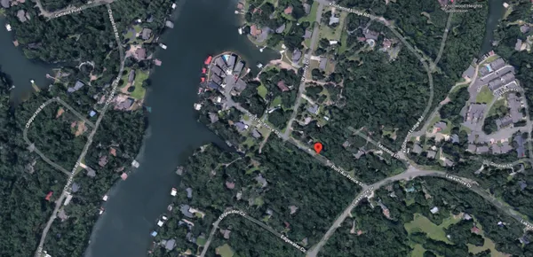 a view of a forest from a view of a forest