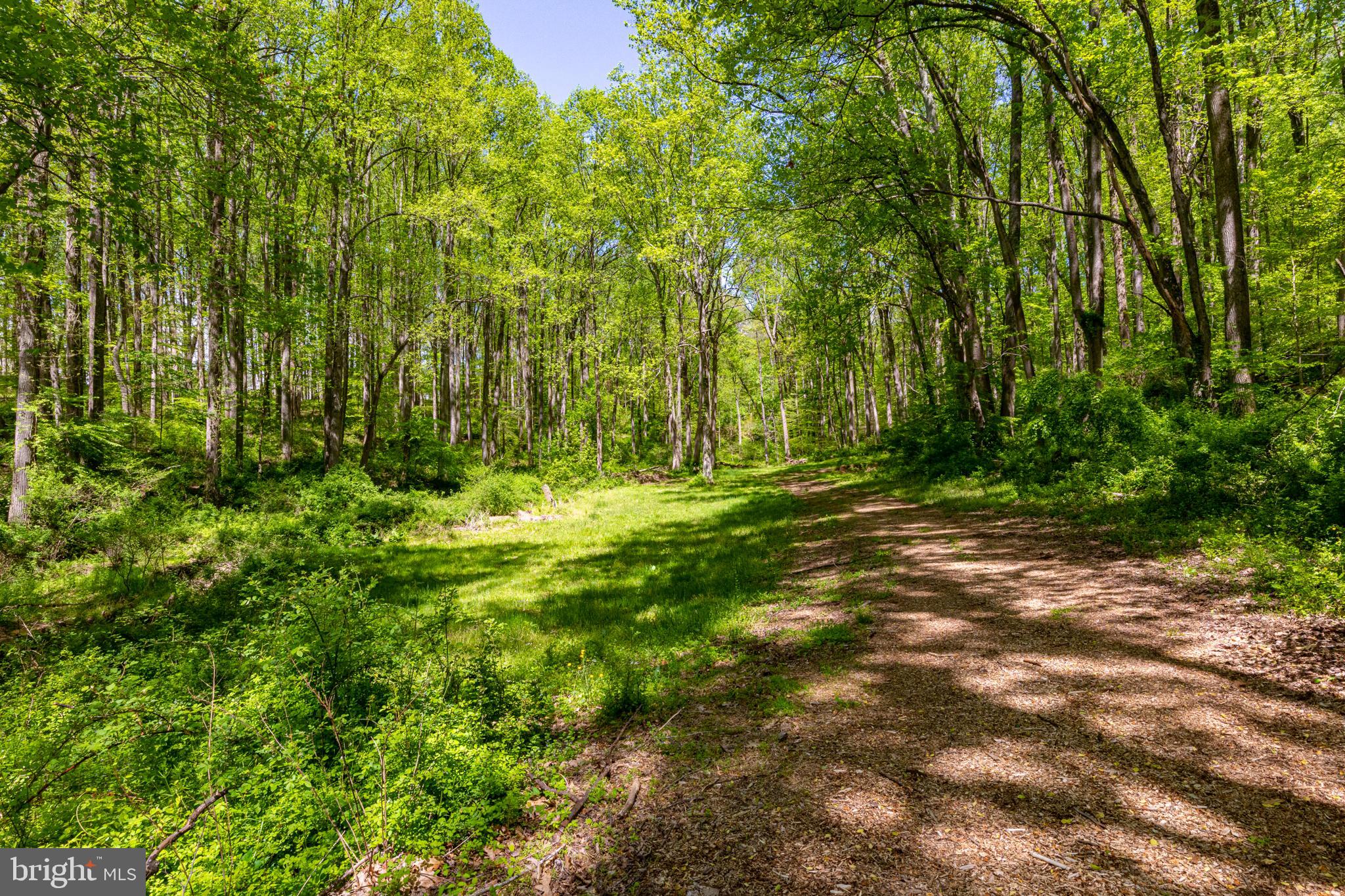 2310 Putnam Road Forest Hill, MD 21050 - Photo 32 of 90 Serene woodland path beckons wanderers.