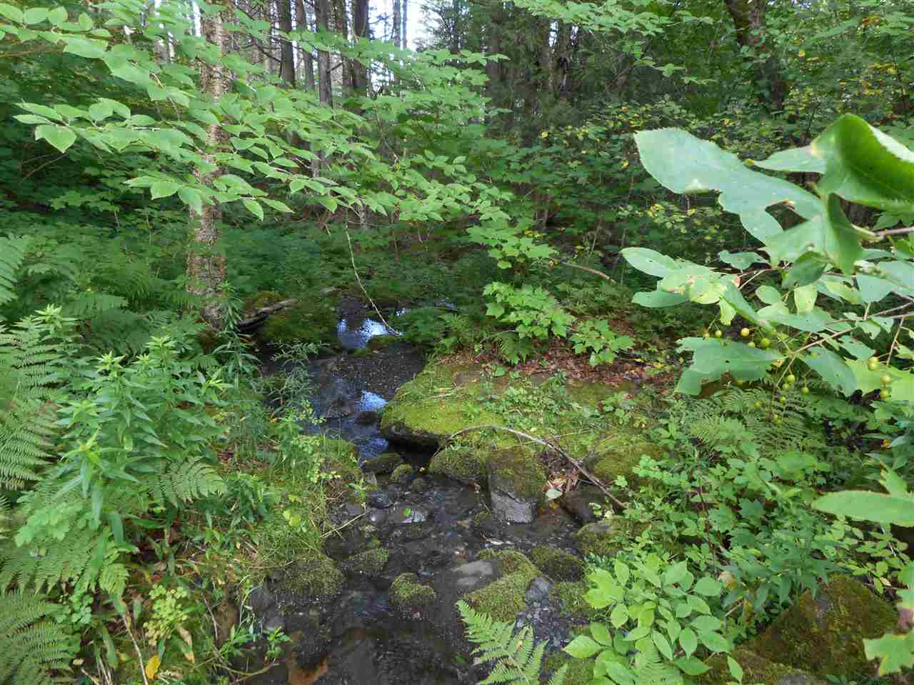 772 Quarry Road Sheffield, VT 05839 - Photo 29 of 31