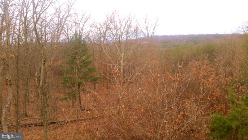 10732 Winchester Grade Road Berkeley Springs, WV 25411 - Photo 2 of 27 View
