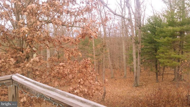 10732 Winchester Grade Road Berkeley Springs, WV 25411 - Photo 21 of 27 View