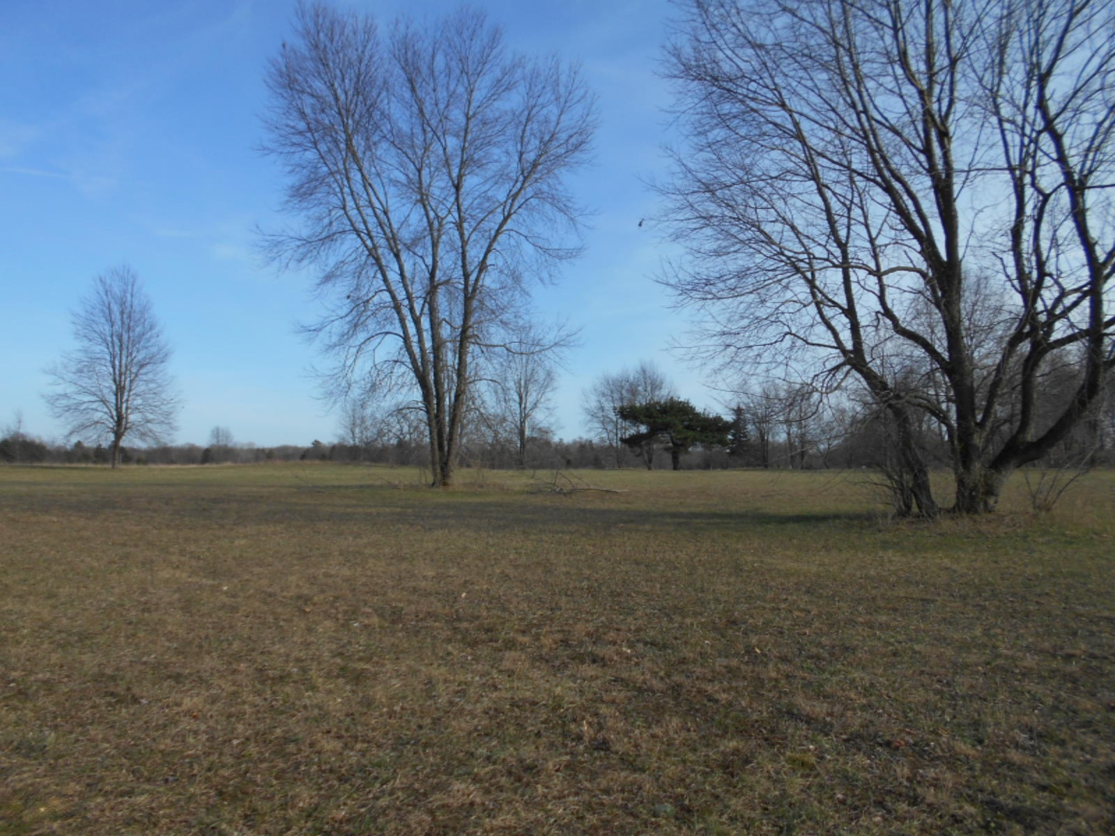 9003 West 1 Mile Road Hesperia, MI 49421 - Photo 14 of 41 9003 W 1 Mile Rd Hesperia 021