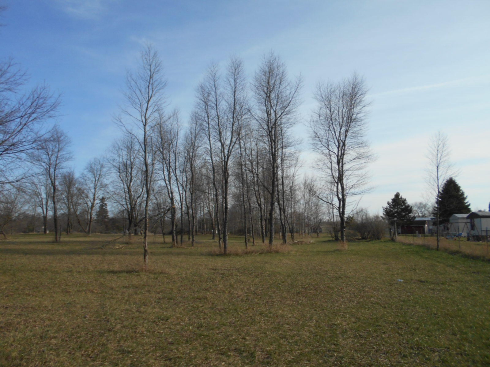 9003 West 1 Mile Road Hesperia, MI 49421 - Photo 15 of 41 9003 W 1 Mile Rd Hesperia 022