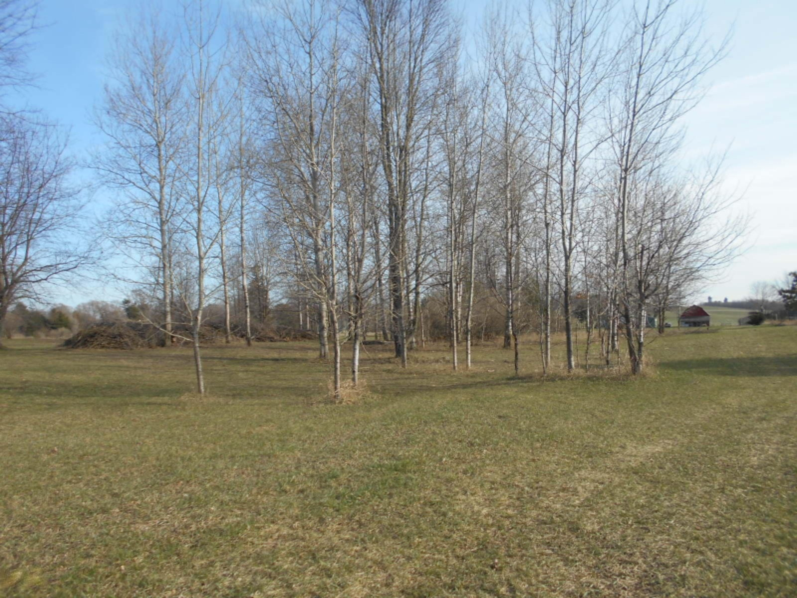 9003 West 1 Mile Road Hesperia, MI 49421 - Photo 17 of 41 9003 W 1 Mile Rd Hesperia 025
