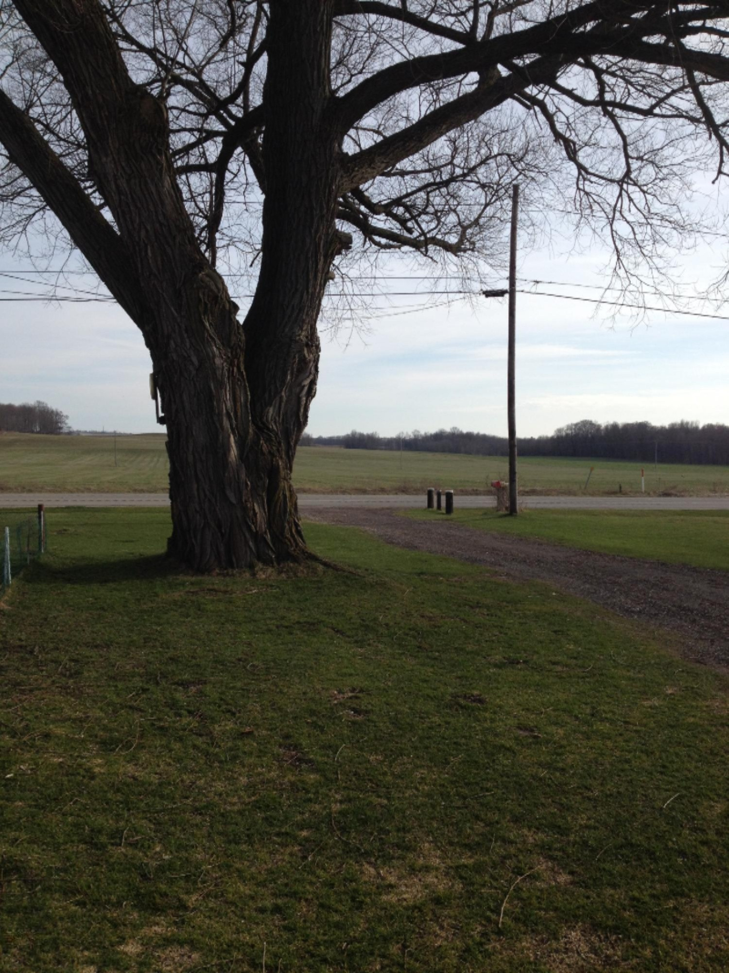 9003 West 1 Mile Road Hesperia, MI 49421 - Photo 39 of 41 9003 W 1 Mile Rd Hesperia 061