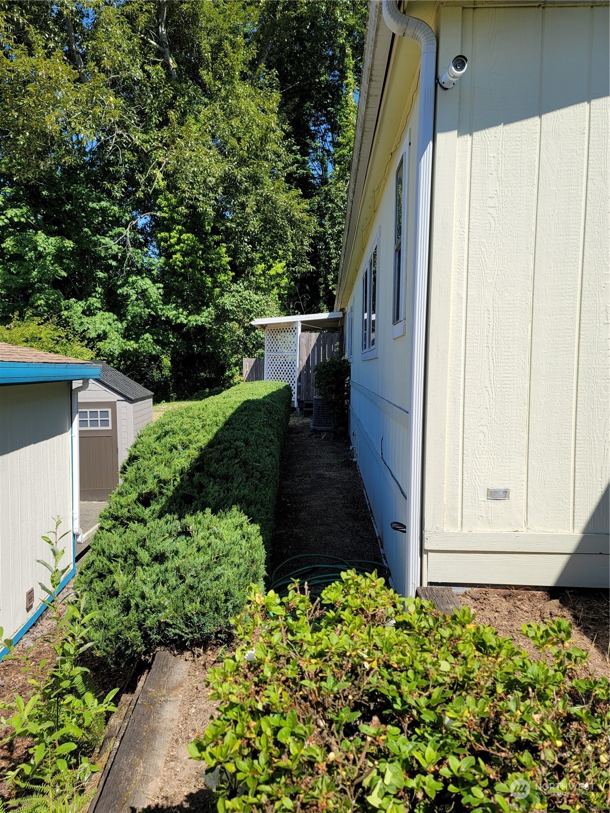 375 Union Avenue Southeast, Unit 36 Renton, WA 98059 - Photo 4 of 25 a view of a pathway of a back yard