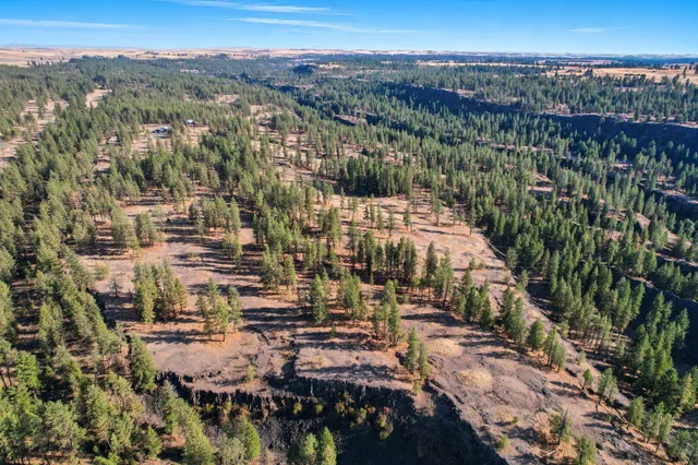 $975,000 | 11719 West Cheney Plaza Road, Cheney, WA 99004