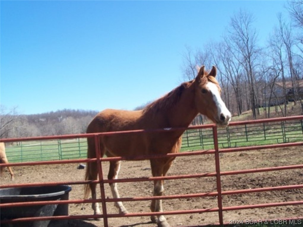 448 Pier Thirty One Road Camdenton, MO 65020 - Photo 12 of 15 Horse Stables