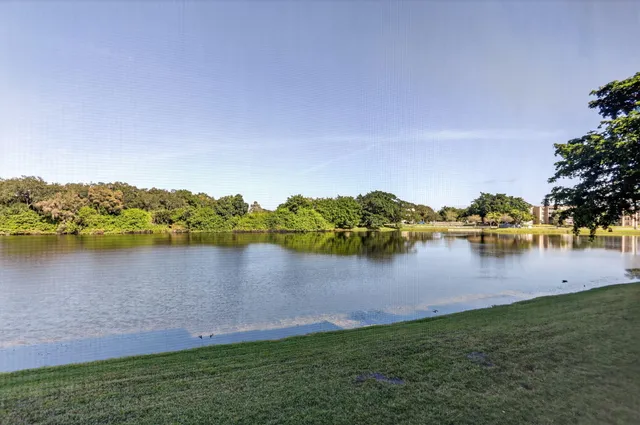 a view of a lake from a yard