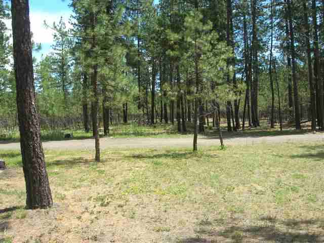 5515 East Chattaroy Road Chattaroy, WA 99003 - Photo 8 of 9