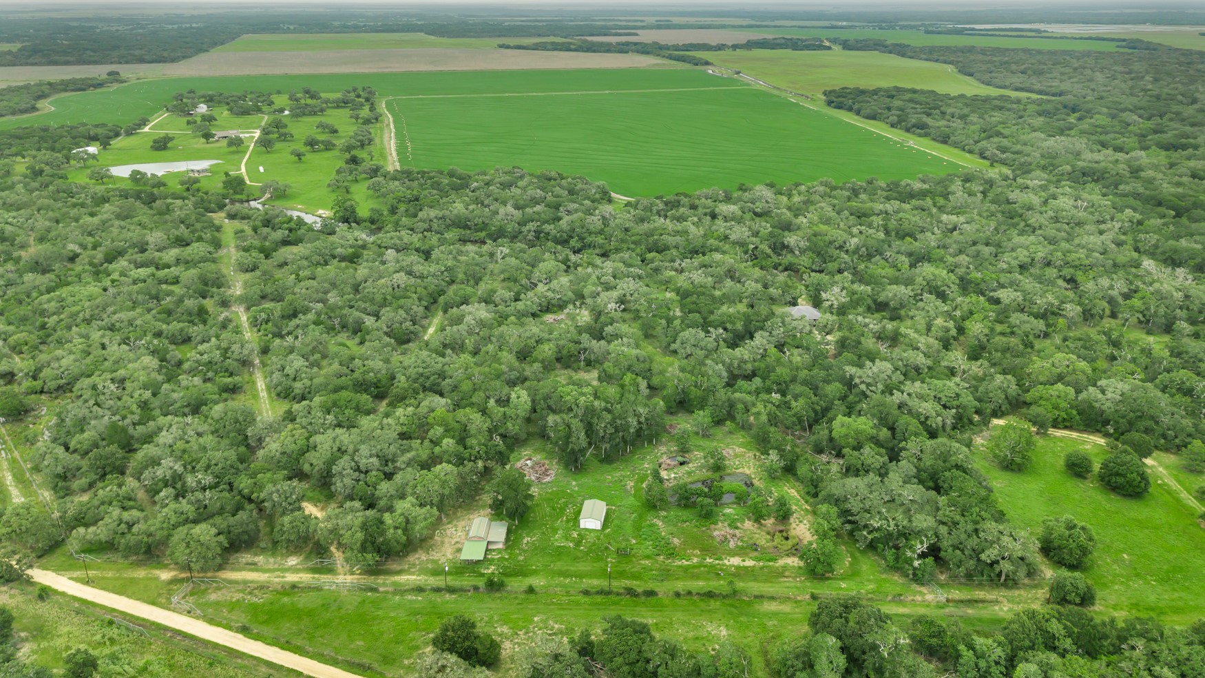4600 Fm 1862 Road Palacios, TX 77465 - Photo 8 of 43