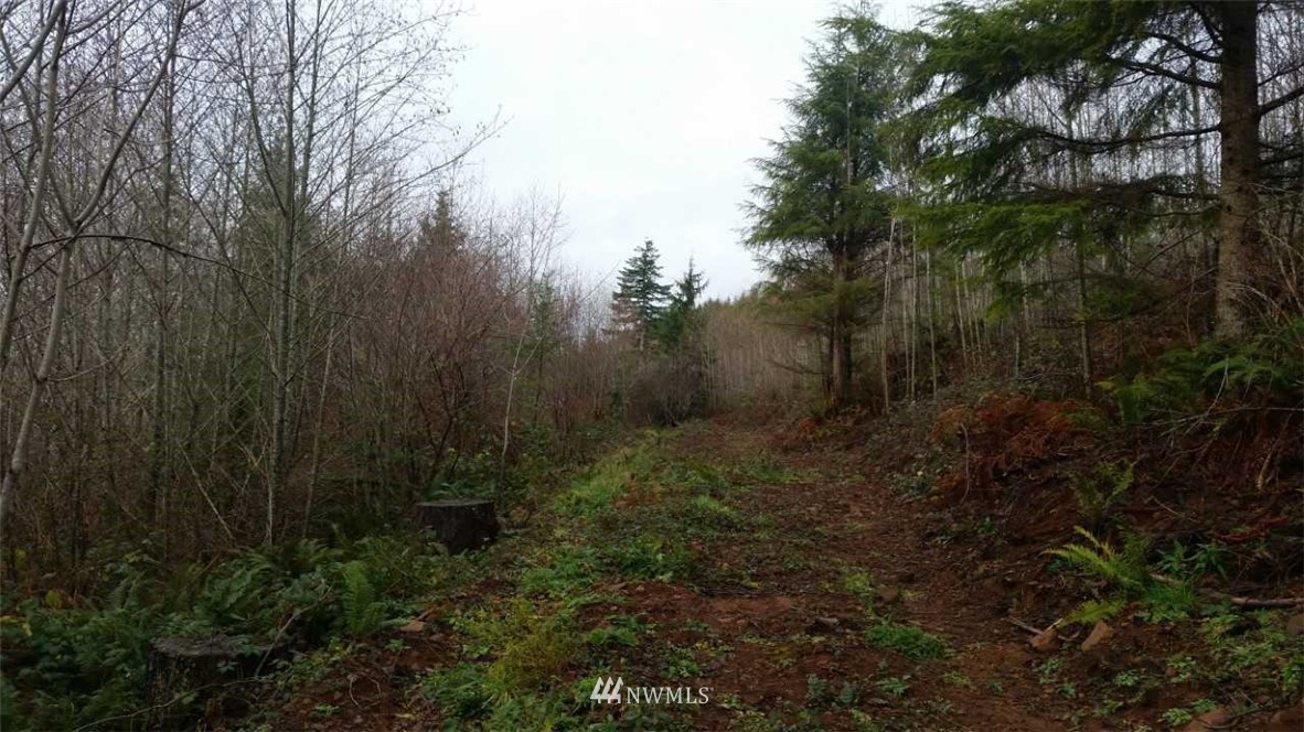 0 Elma McCleary Road McCleary, WA 98557 - Photo 2 of 5 Gallery Image 2