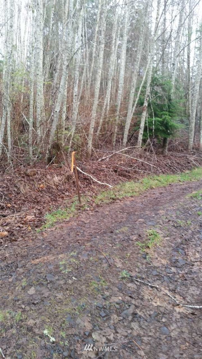 0 Elma McCleary Road McCleary, WA 98557 - Photo 3 of 5 Gallery Image 3