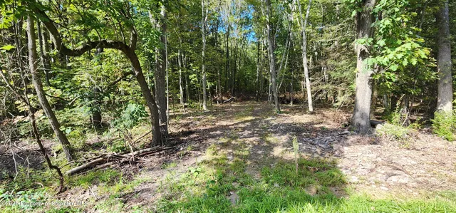 $135,000 | 645 Evergreen Drive, Falls, PA 18615