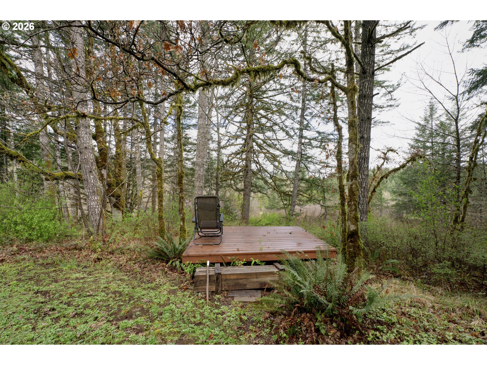 23220 Burgett Creek Road Philomath, OR 97370 - Photo 46 of 48