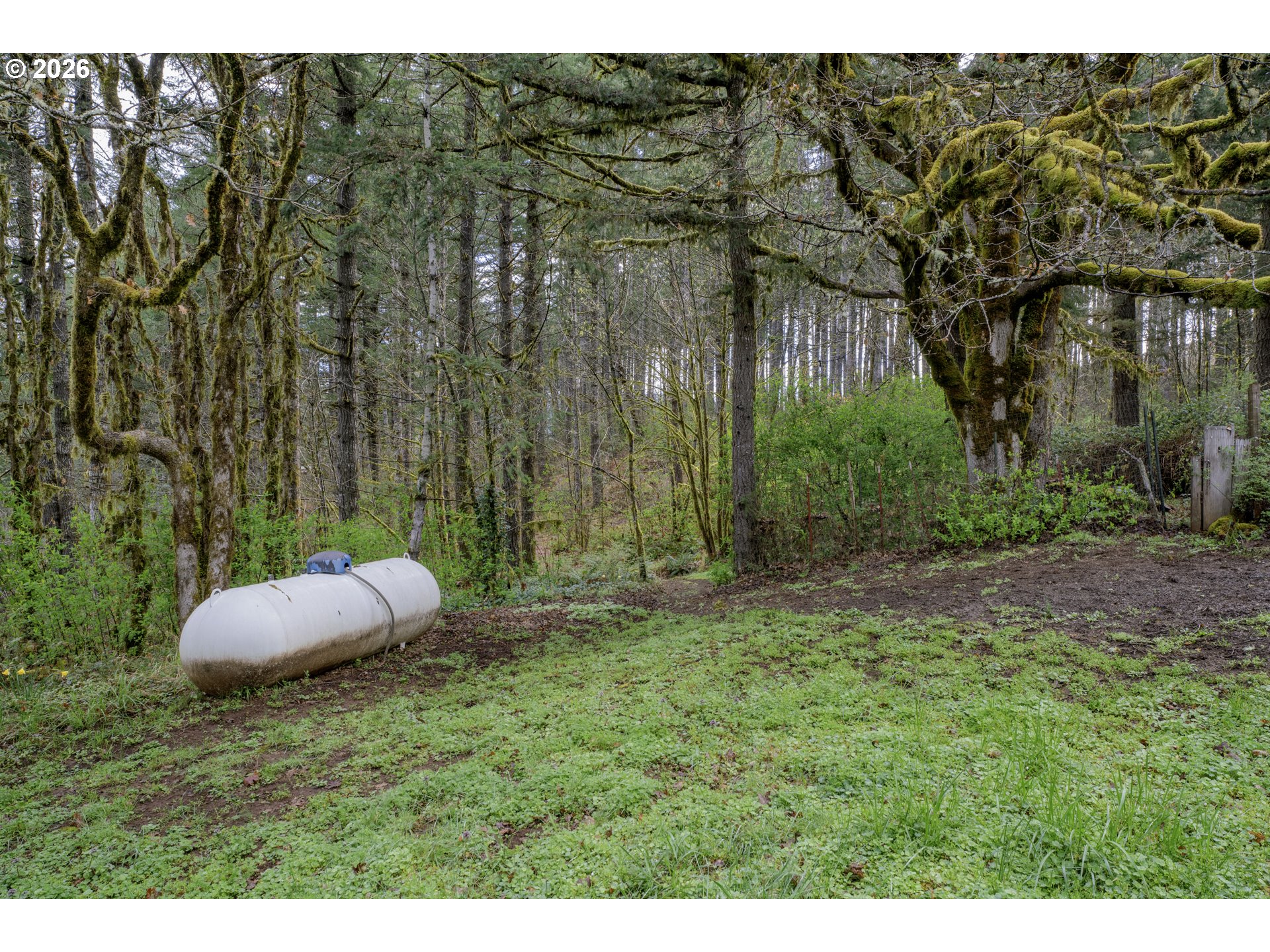 23220 Burgett Creek Road Philomath, OR 97370 - Photo 48 of 48