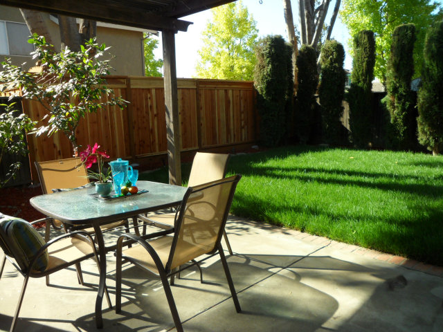 5233 Country Forge Lane San Jose, CA 95136 - Photo 23 of 25 a backyard of a house with table and chairs plants and large tree