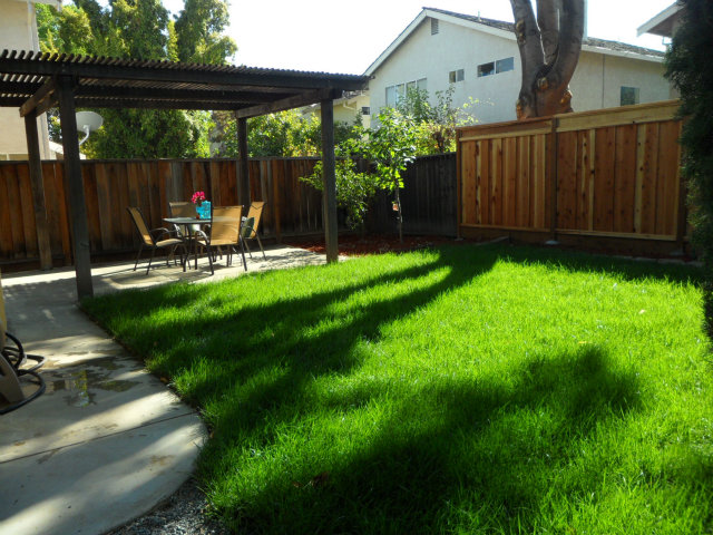 5233 Country Forge Lane San Jose, CA 95136 - Photo 24 of 25 a view of backyard with a patio and plants