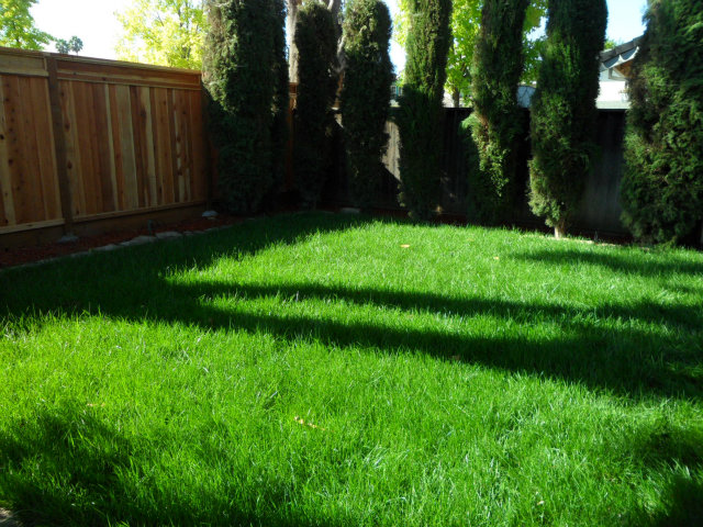 5233 Country Forge Lane San Jose, CA 95136 - Photo 25 of 25 a view of backyard with green space