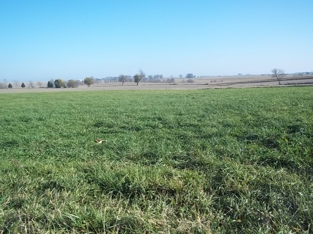 351 Penrose Road Dixon, IL 61021 - Photo 1 of 1 a view of a green field with lots of green space