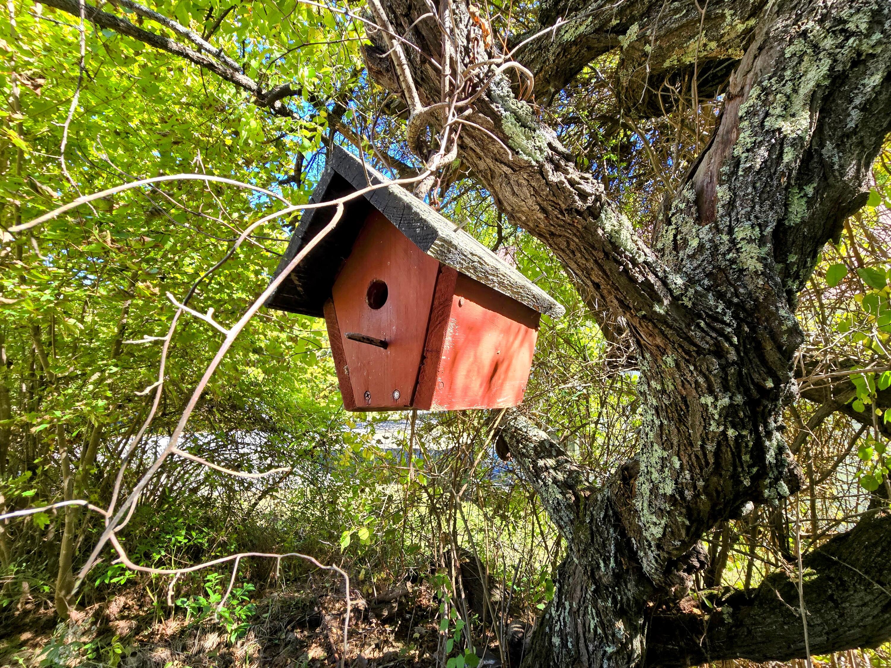 5 Jones Road Livermore Falls, ME 04254 - Photo 48 of 54 20260922_141626-EDIT