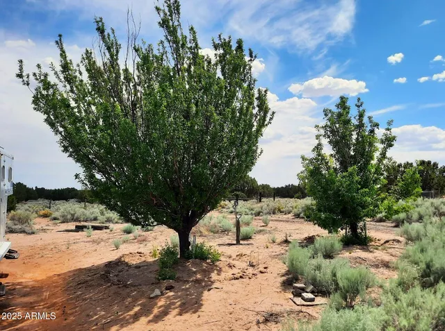 $450,000 | 74 N7121 Red Sky Ranch, St. Johns, AZ 85936