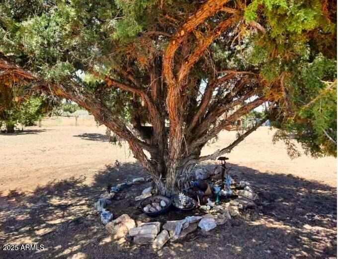74 N7121 Red Sky Ranch St. Johns, AZ 85936 - Photo 49 of 65 RSR300.juniperTree