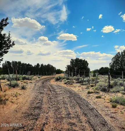 $450,000 | 74 N7121 Red Sky Ranch, St. Johns, AZ 85936