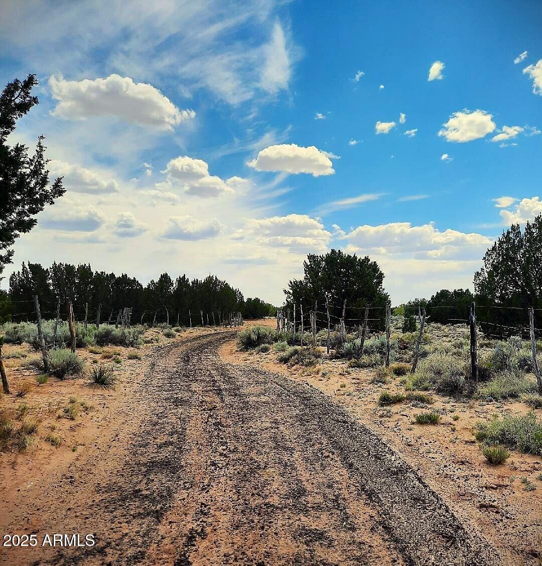 74 N7121 Red Sky Ranch St. Johns, AZ 85936 - Photo 52 of 65 a view of a yard with wooden fence