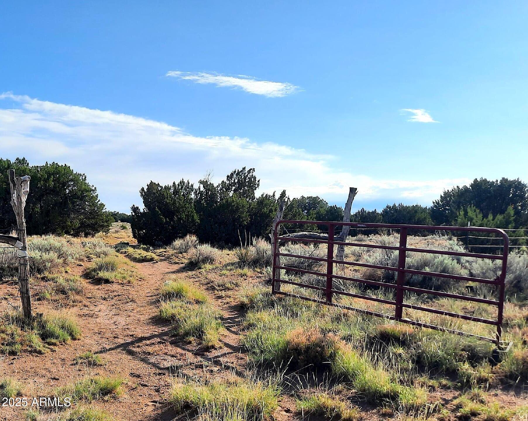 74 N7121 Red Sky Ranch St. Johns, AZ 85936 - Photo 53 of 65 RSR300.gate2