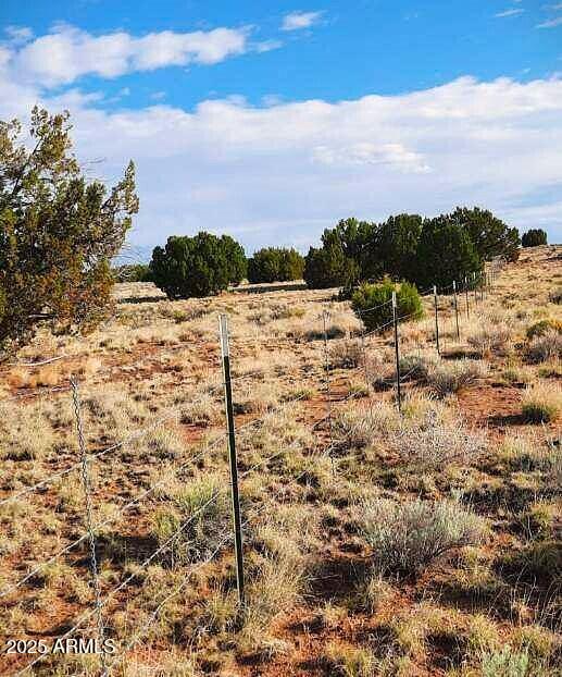 74 N7121 Red Sky Ranch St. Johns, AZ 85936 - Photo 54 of 65 RSR300.fenceLine