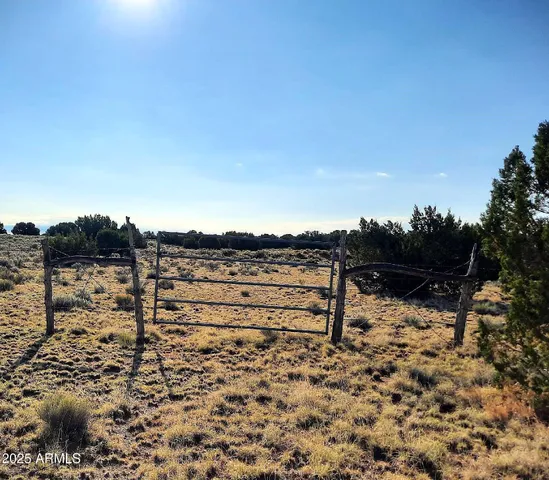 $450,000 | 74 N7121 Red Sky Ranch, St. Johns, AZ 85936