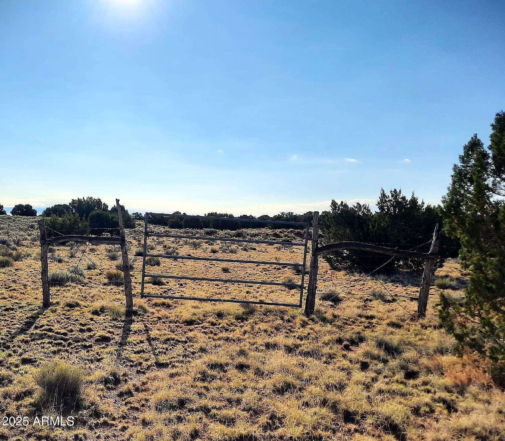 74 N7121 Red Sky Ranch St. Johns, AZ 85936 - Photo 59 of 65 a view of a yard