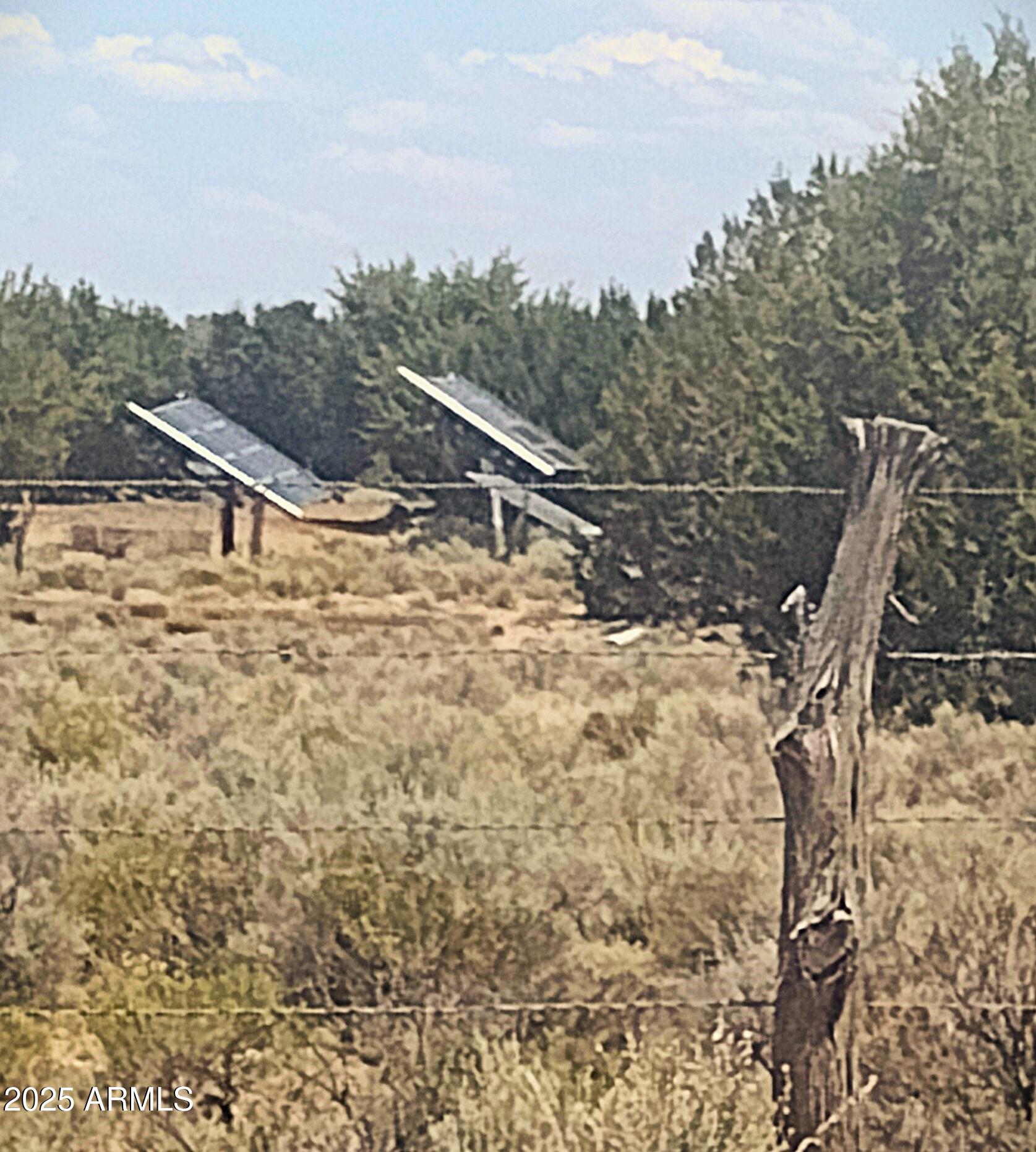 74 N7121 Red Sky Ranch St. Johns, AZ 85936 - Photo 61 of 65 a view of a yard with a tree