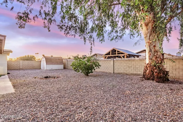 a view of a garden with a tree