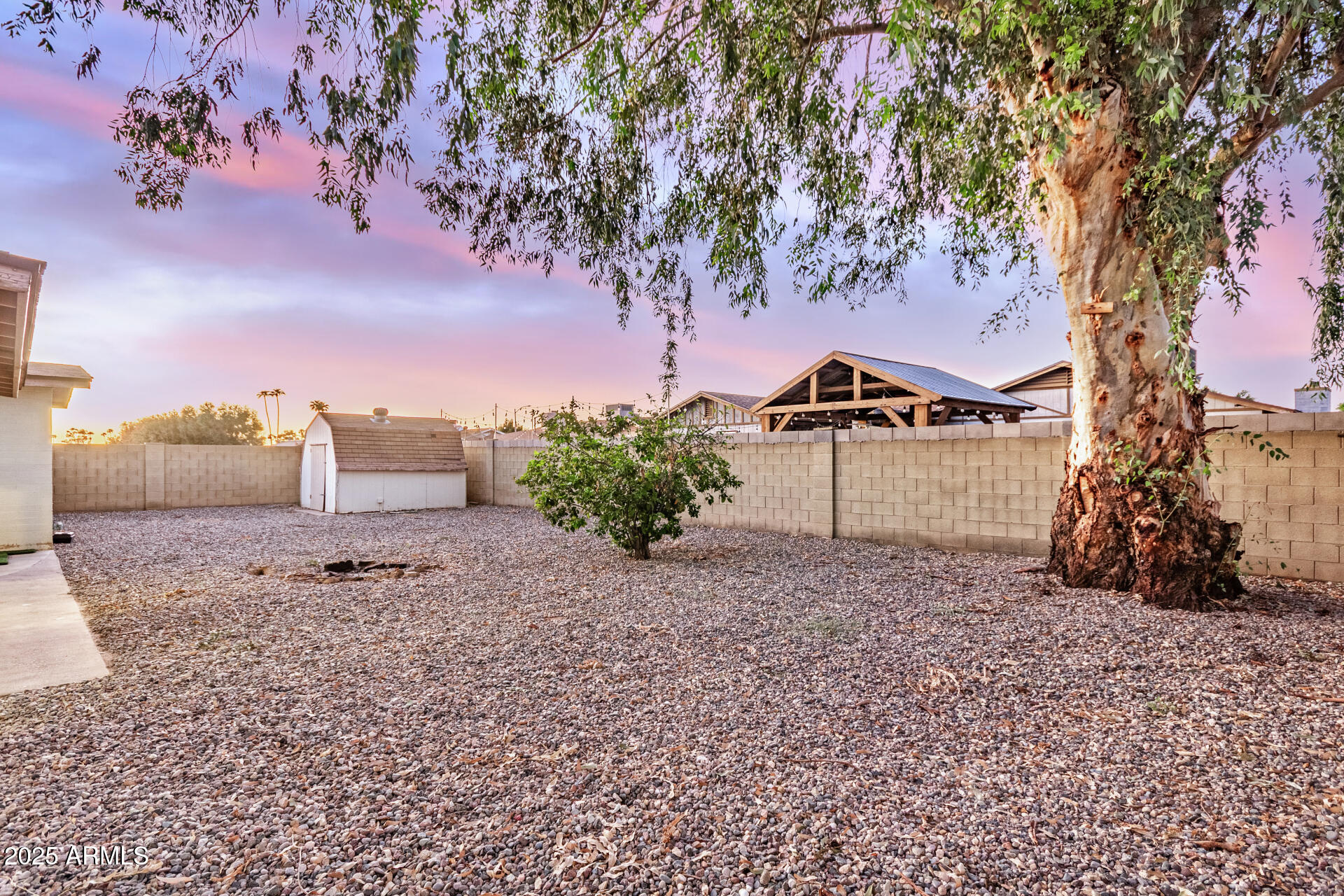 1634 West Villa Rita Drive Phoenix, AZ 85023 - Photo 9 of 47 a view of a garden with a tree