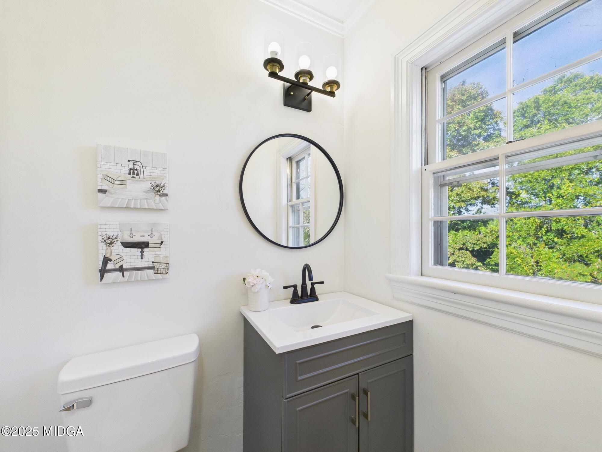 621 Forest Hill Road Macon, GA 31210 - Photo 35 of 50 a bathroom with a sink a mirror and a toilet