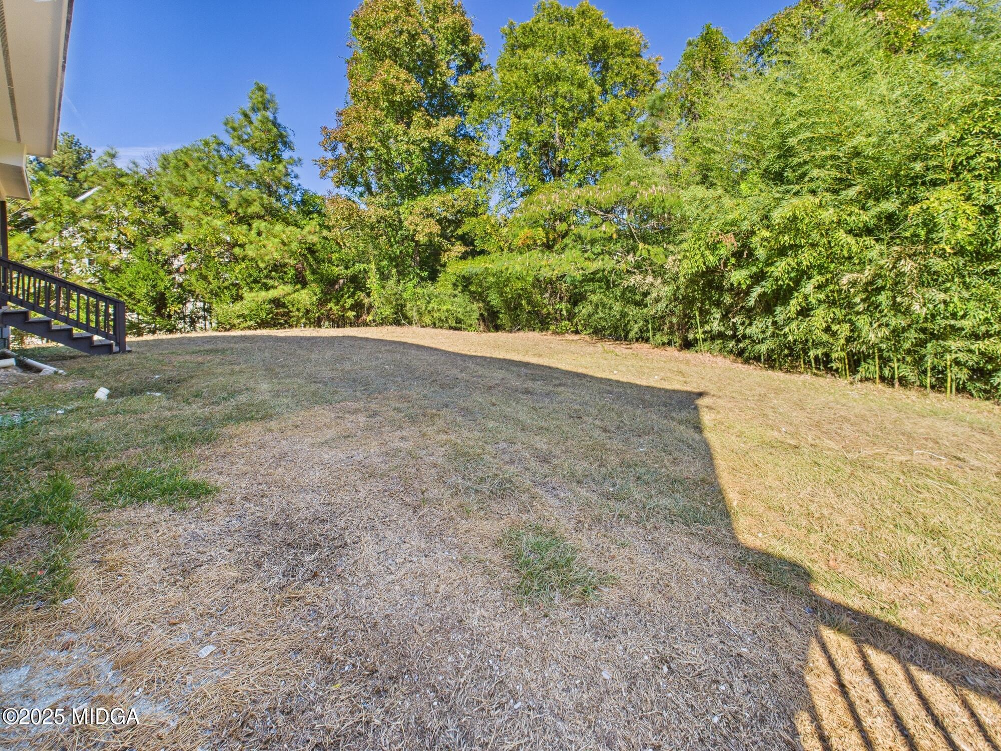 621 Forest Hill Road Macon, GA 31210 - Photo 43 of 50 a view of a yard with a plant