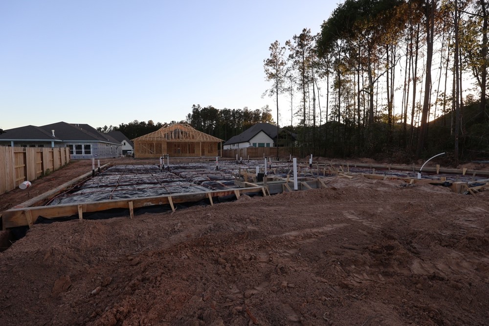 15730 Terracotta Terrace Conroe, TX 77302 - Photo 5 of 14 a view of a backyard with plants and trees